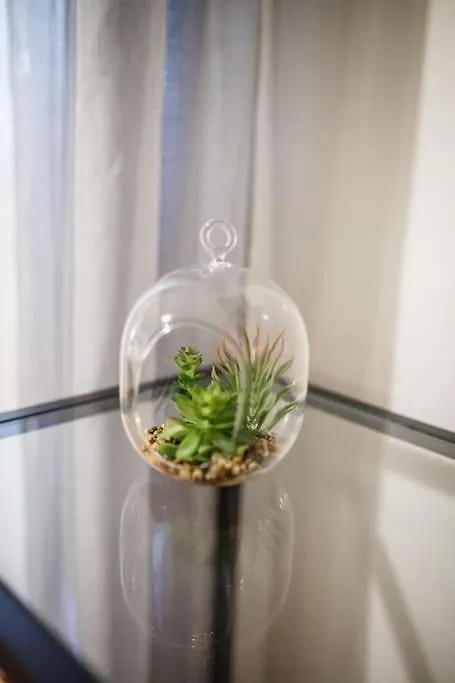 Διαμέρισμα Cozy Apartement Θεσσαλονίκη